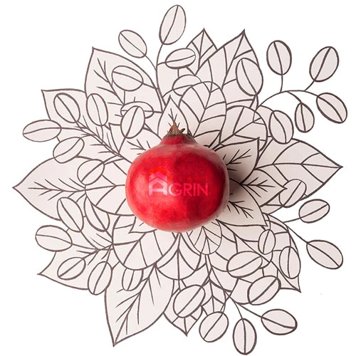 هدایای یلدایی سازمانی